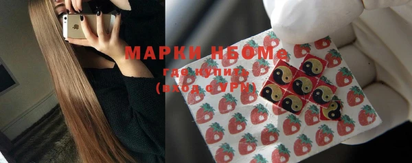 соль ск Горно-Алтайск