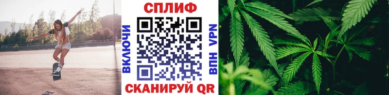 МАРИХУАНА планчик  Черепаново 